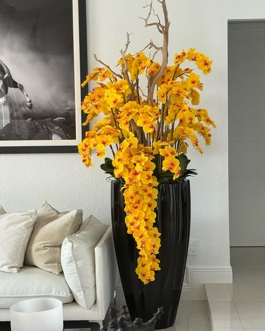 cascade d'orchidées jaunes  avec Pot de fleurs noir