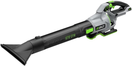 Kit de Souffleur de Feuilles Portatif à Batterie