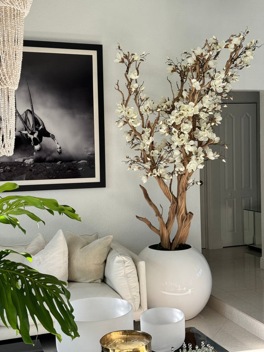 Magnolia blanc dans un pot globe blanc brillant de 76 cm 1