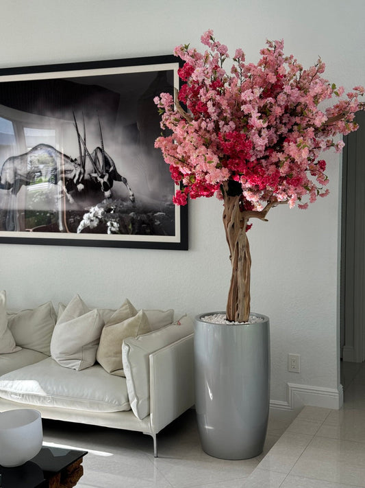 Cerisier Tricolore Rose – Arbre Artisanal 3m en Cache-Pot Lisbon Argenté