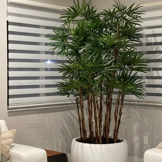 Palmier Artisanal 2,4 m en Jardinière Tarragona Blanc Brillant