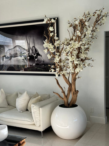 Magnolia blanc dans un pot globe blanc brillant de 76 cm 1