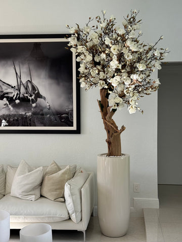 Magnolia Blanc 2,40 m – Jardinière St. Tropez Beige Brillante