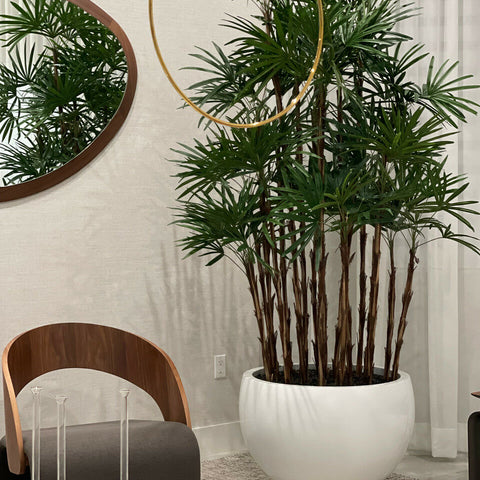Palmier Artisanal 2,4 m en Jardinière Tarragona Blanc Brillant